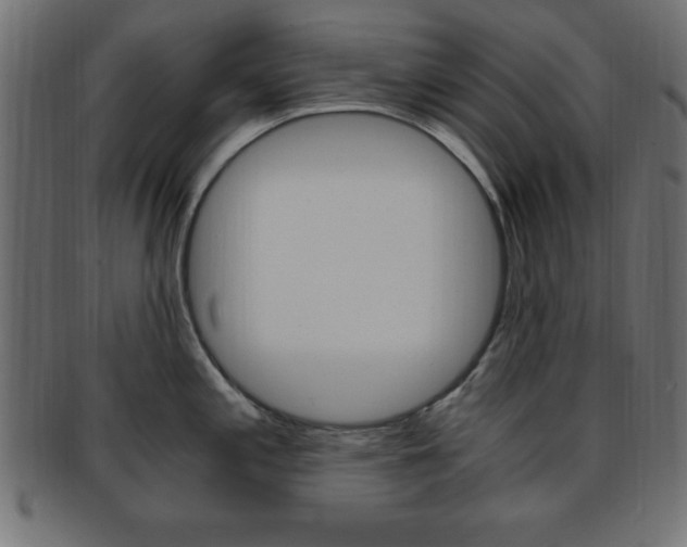 X0000094081197200710190911