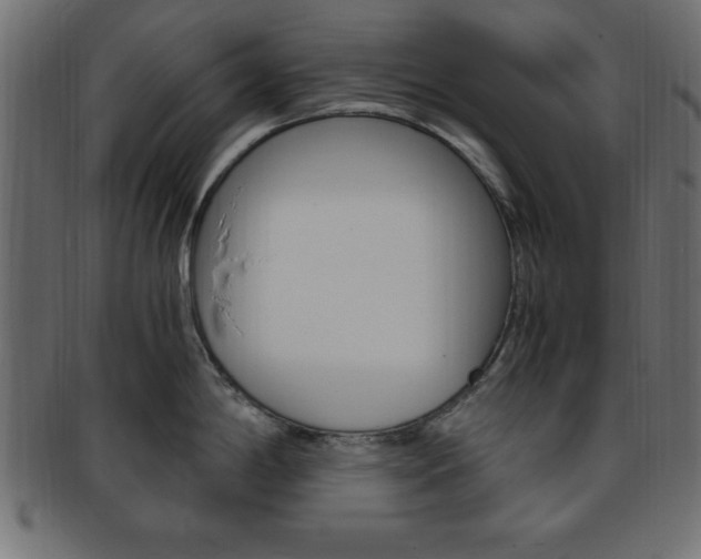 X0000094081198200710190911
