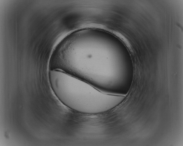 X0000094081199200710190911
