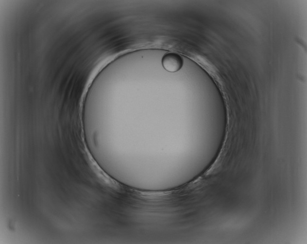 X0000094081200200710190911