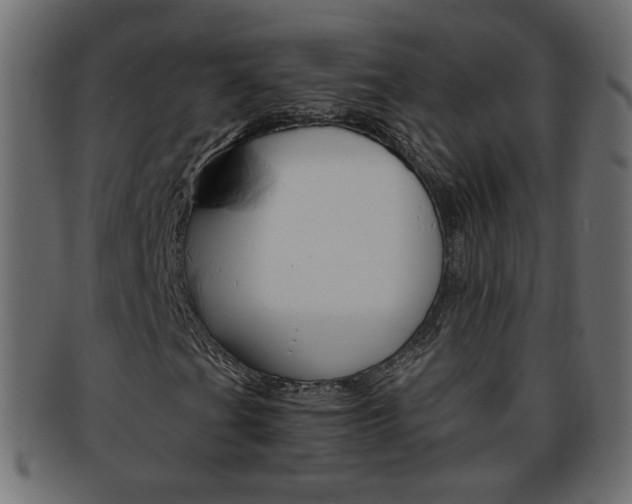 X0000094081201200710190910
