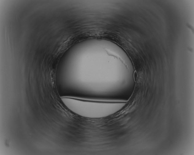 X0000094081202200710190910