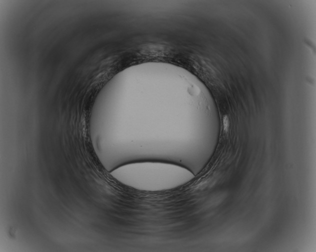 X0000094081203200710190910
