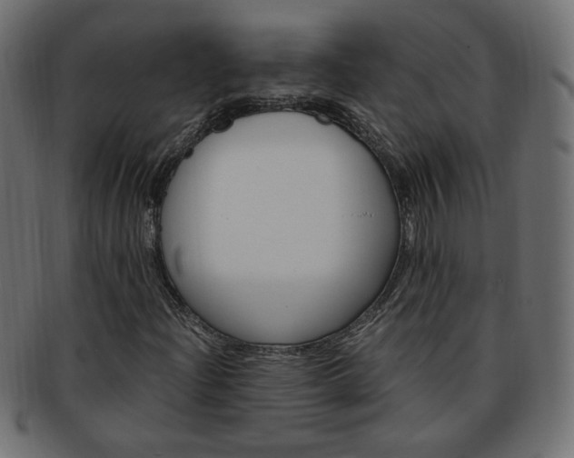 X0000094081204200710190910