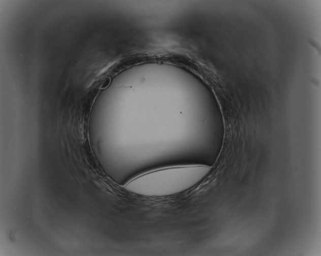 X0000094081205200710190910