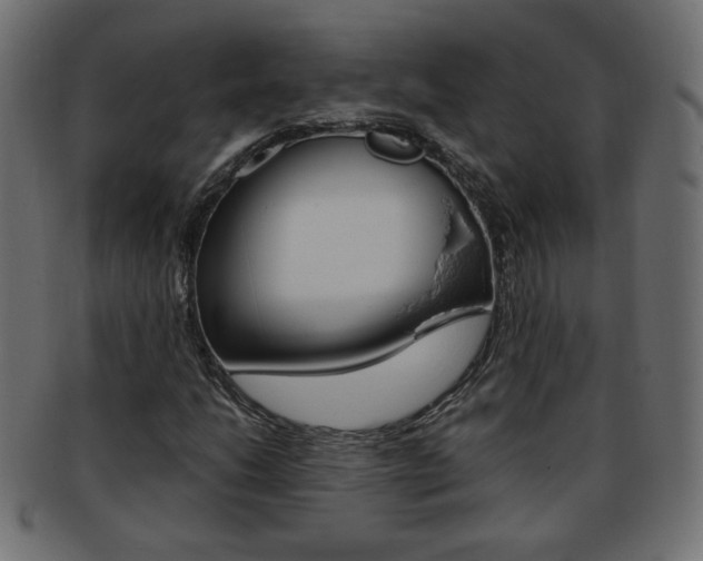X0000094081206200710190910