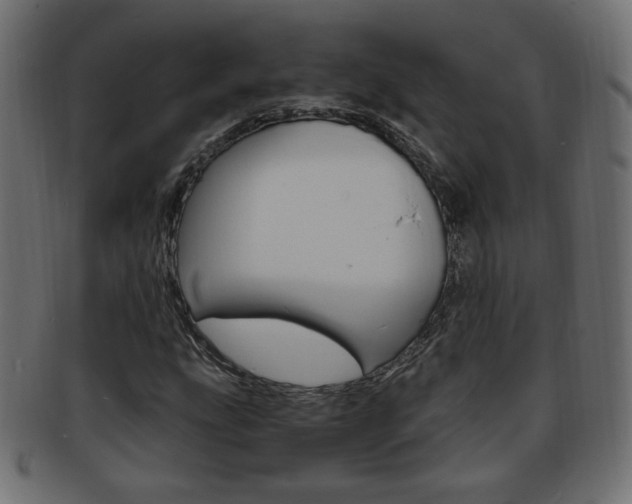 X0000094081207200710190910