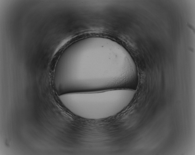 X0000094081208200710190910