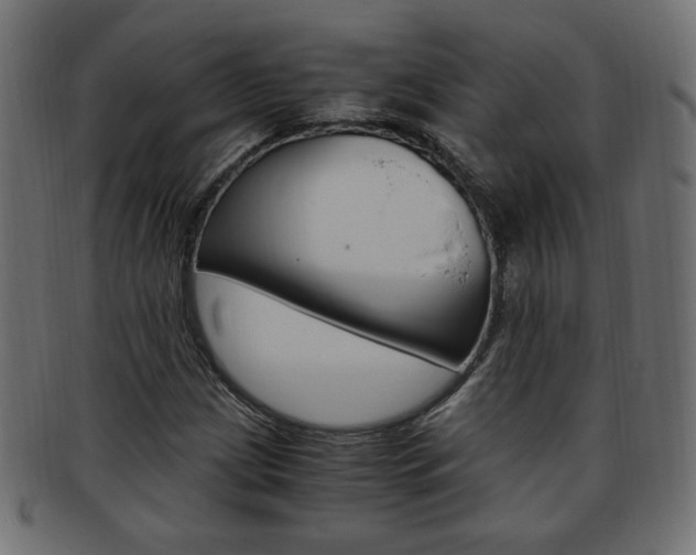 X0000094081209200710190910