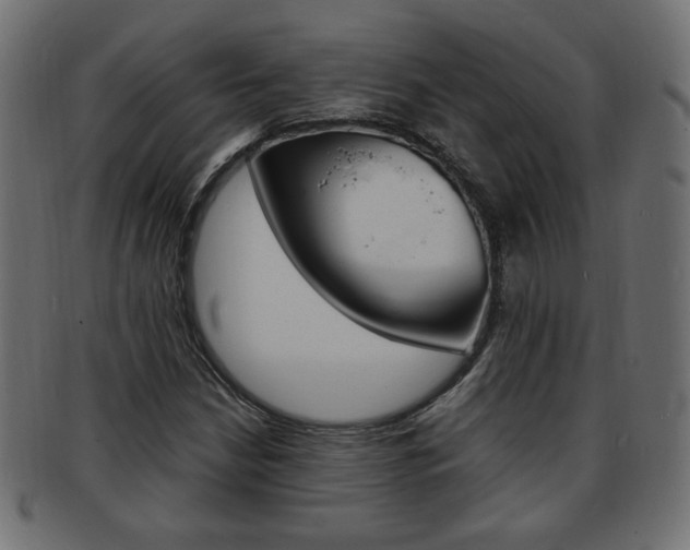 X0000094081210200710190910
