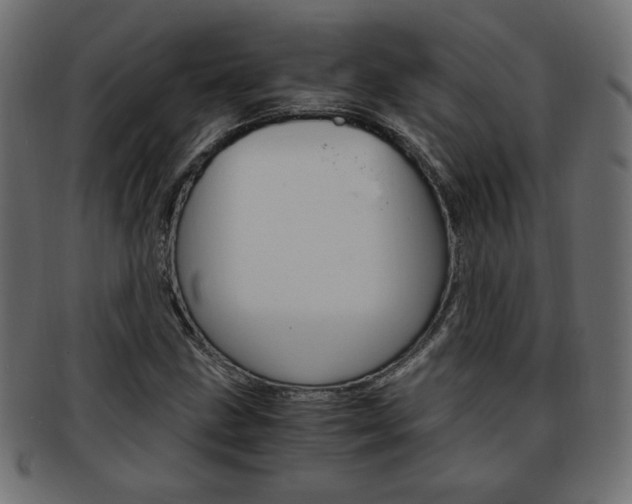 X0000094081211200710190910