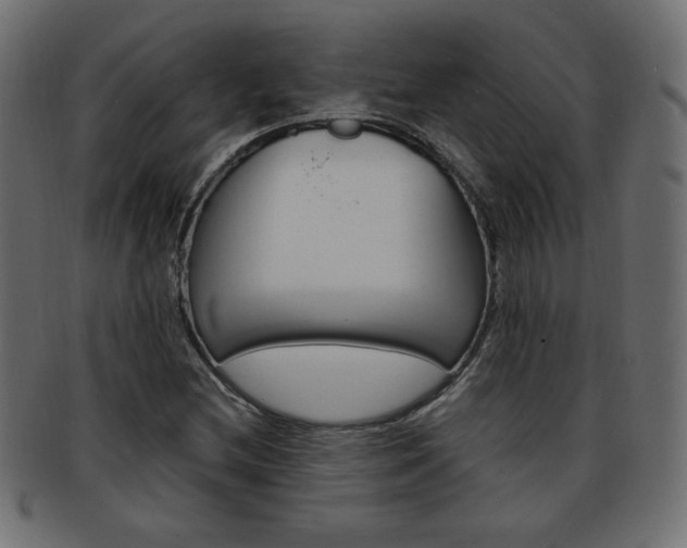 X0000094081212200710190910
