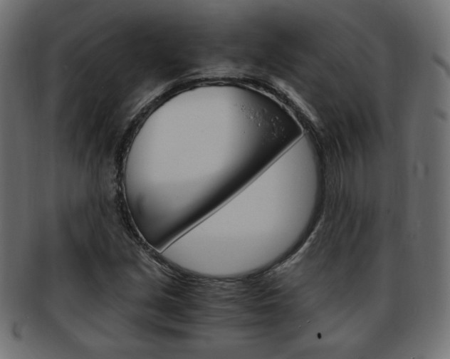 X0000094081213200710190910