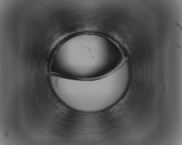 X0000094081214200710190910