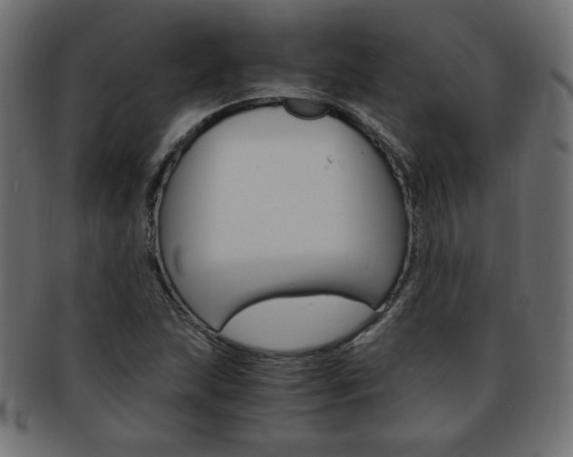 X0000094081215200710190910