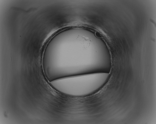 X0000094081216200710190910