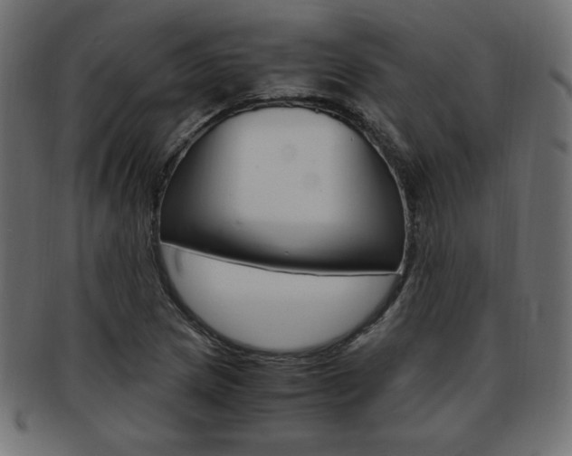 X0000094081217200710190910