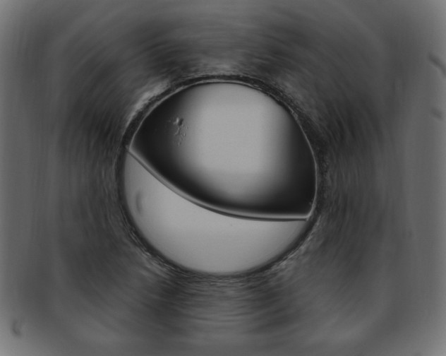X0000094081218200710190910