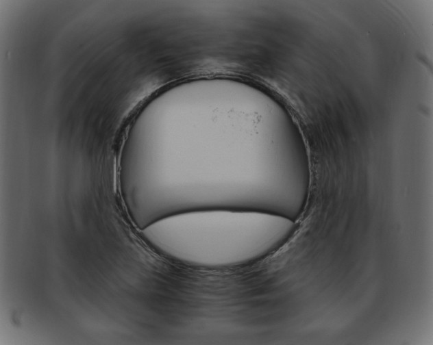 X0000094081219200710190910