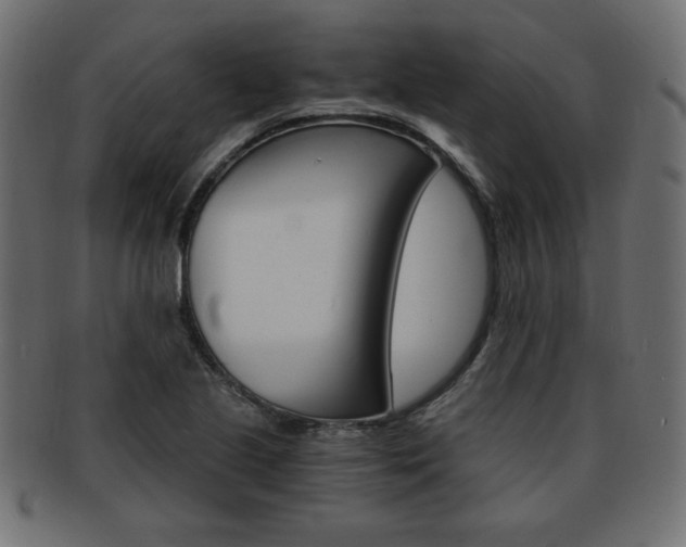 X0000094081221200710190910