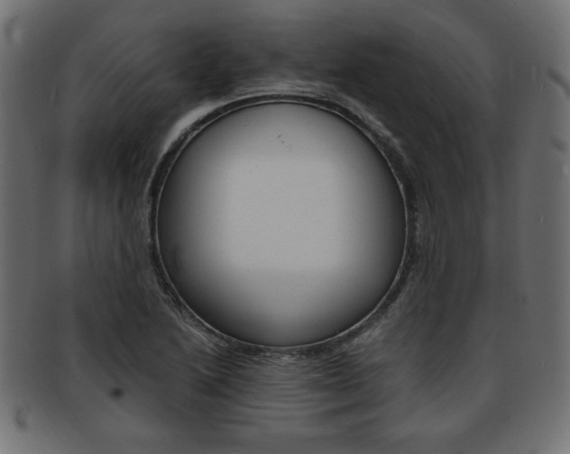 X0000094081222200710190910