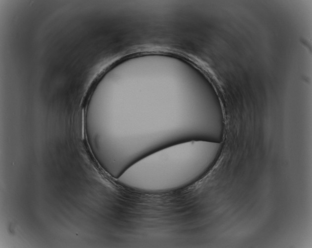 X0000094081223200710190910