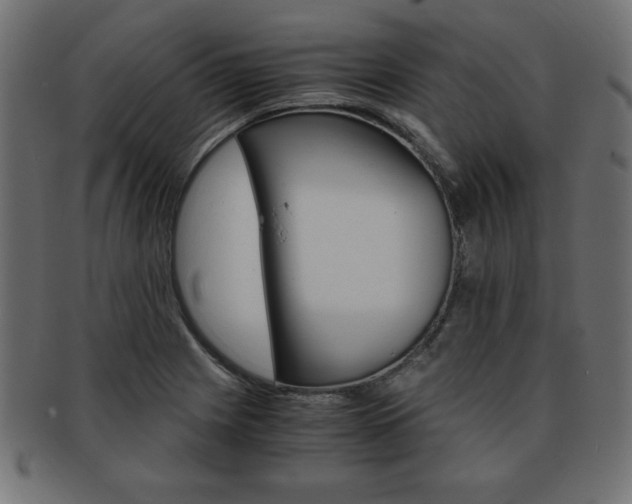 X0000094081225200710190910
