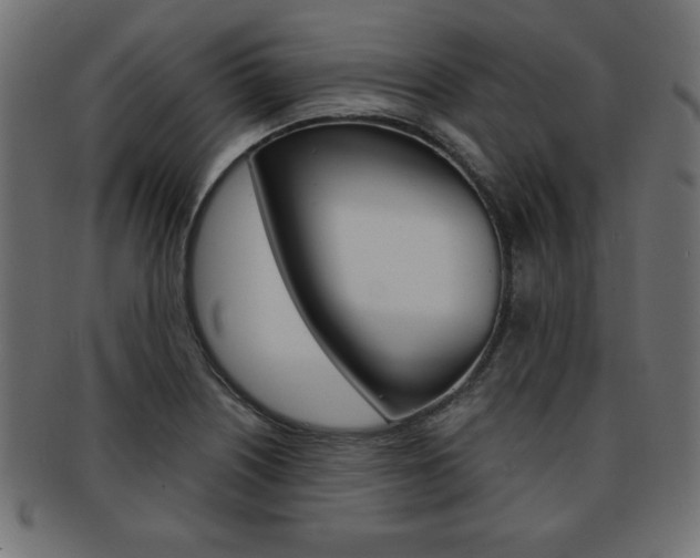 X0000094081226200710190910