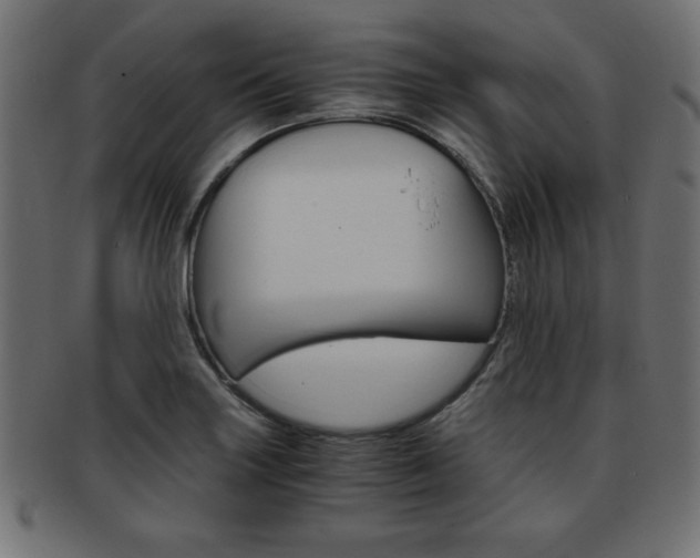 X0000094081227200710190910