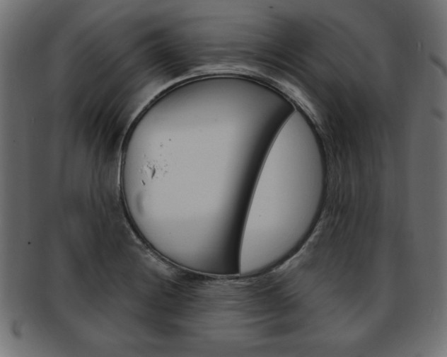 X0000094081228200710190910
