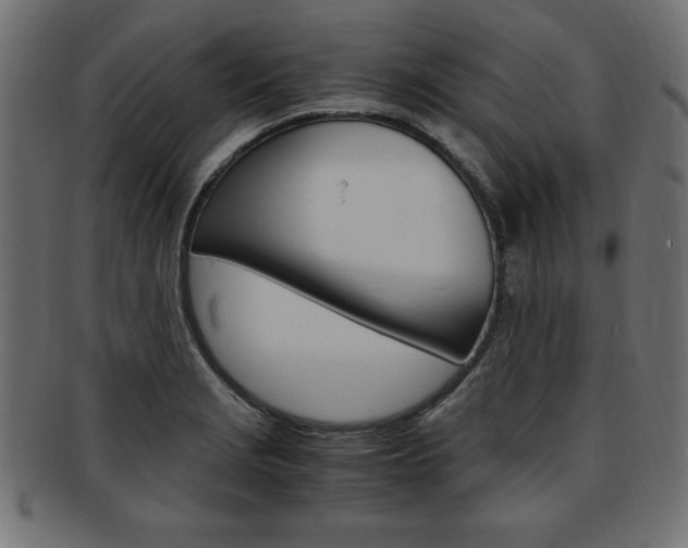 X0000094081229200710190910