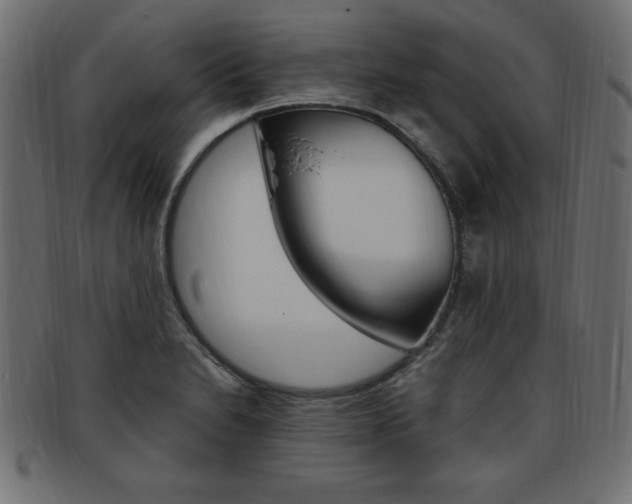 X0000094081230200710190910