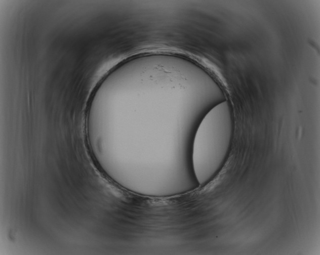 X0000094081231200710190910