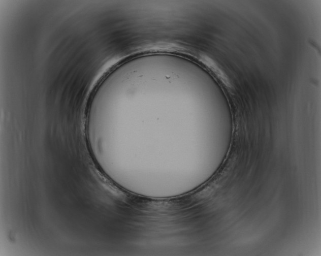 X0000094081232200710190910