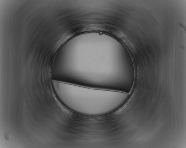 X0000094081233200710190910