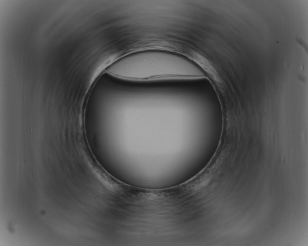 X0000094081234200710190910