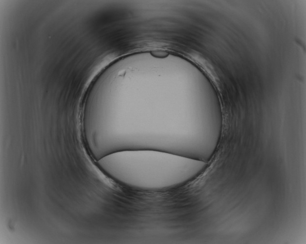 X0000094081235200710190910