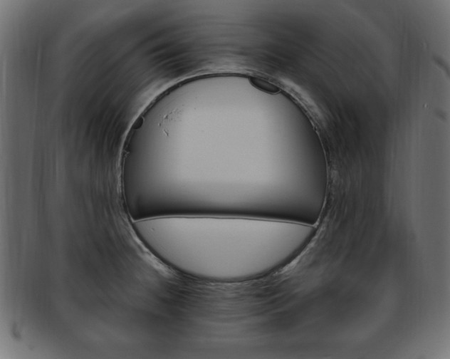 X0000094081236200710190910
