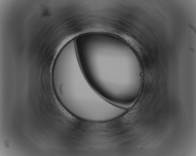 X0000094081238200710190910