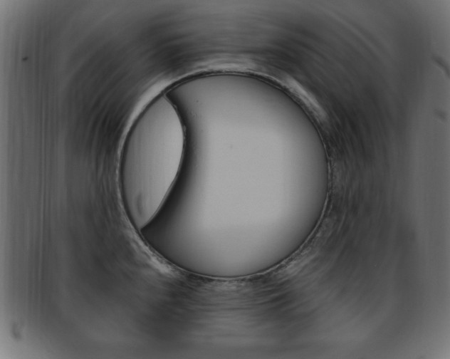 X0000094081240200710190910