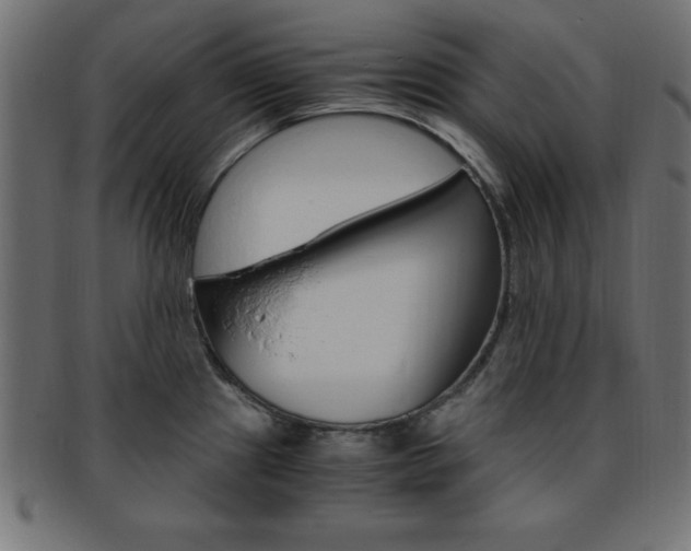 X0000094081241200710190910