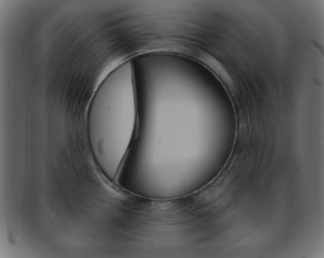 X0000094081242200710190910