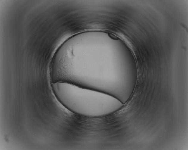 X0000094081243200710190910