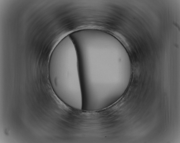 X0000094081244200710190910