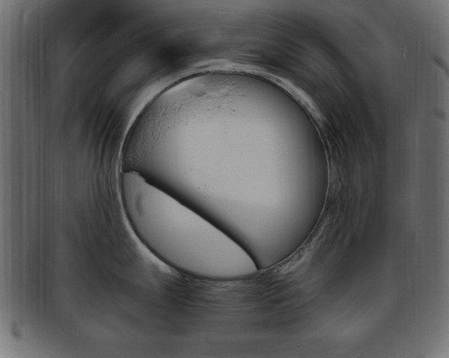 X0000094081247200710190910