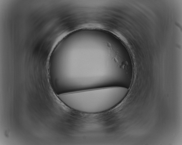 X0000094081248200710190911