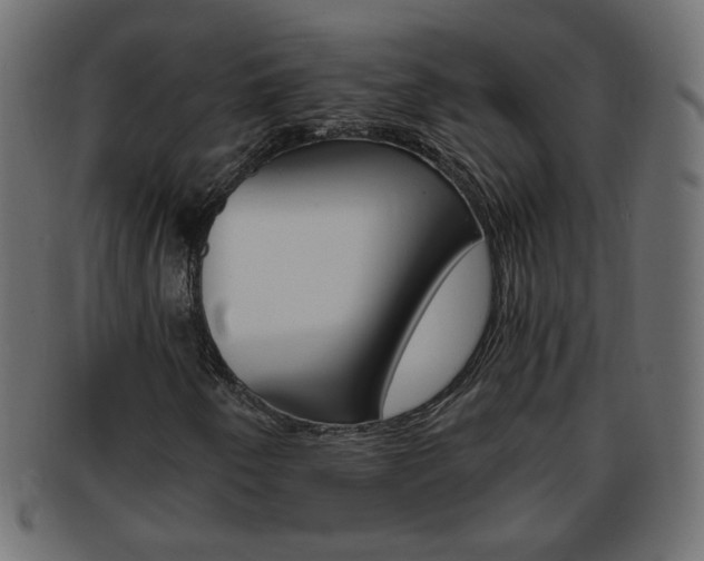 X0000094081250200710190910
