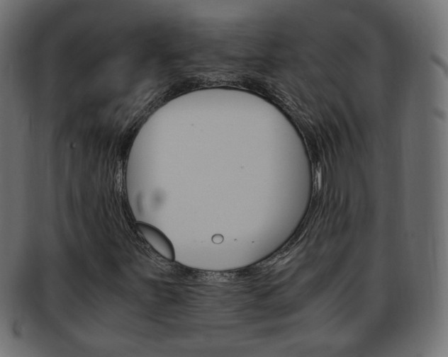 X0000094081251200710190910
