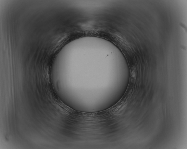 X0000094081252200710190910