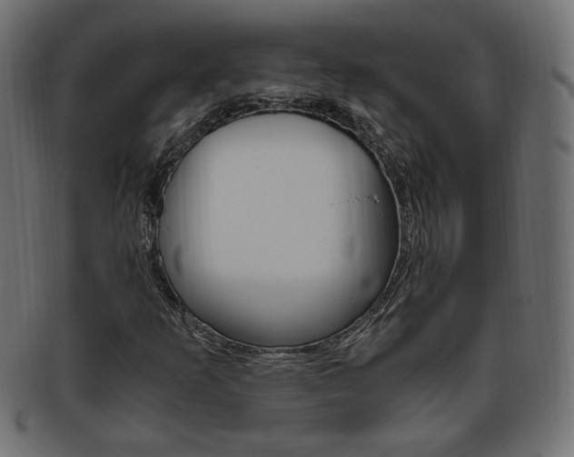 X0000094081253200710190910